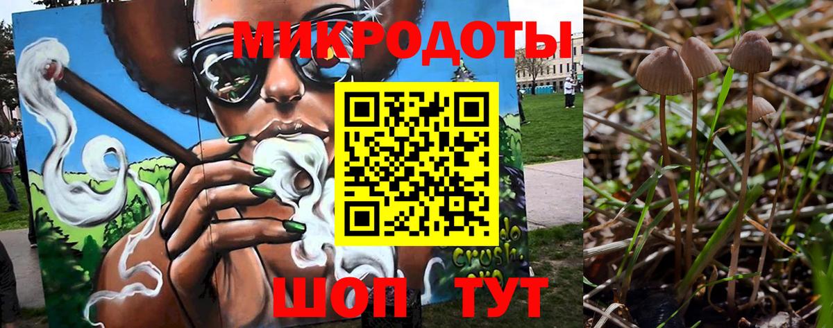 Красногорск  Псилоцибиновые грибы MAGIC MUSHROOMS  Псилоцибиновые грибы Psilocybe  Вход с VPN 