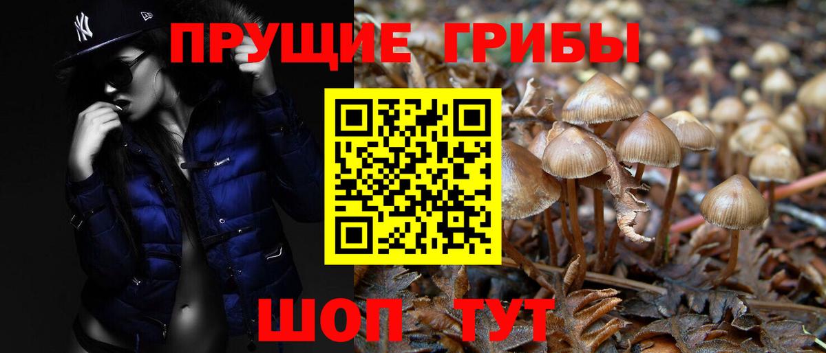 Галлюциногенные грибы мухоморы Красногорск